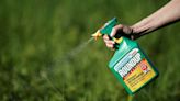 U.S. Supreme Court again nixes Bayer challenge to weedkiller suits