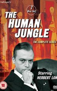 The Human Jungle (TV series)