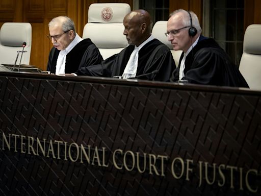 'Hardly anything' will deter Israel's Gaza war: S.Africa judge on ICJ case