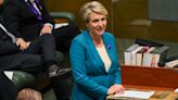 Tanya Plibersek Is Concerned About Kids Watching Anal Sex Porn