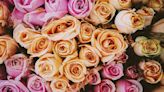 The Hidden Meaning Behind 11 Popular Rose Colors