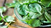 Among leafy green powerhouses, spinach packs a wallop