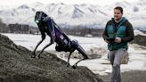 Airport employs robot disguised as a predator to scare wildlife away from runways