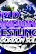 WWF World Championship Wrestling