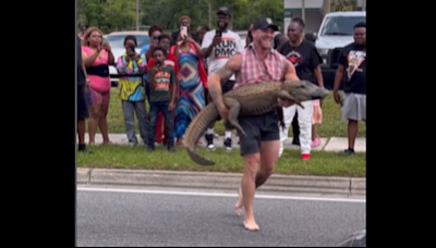 Barefoot man recorded jumping on alligator in Florida highway. ‘Hold my sweet tea’