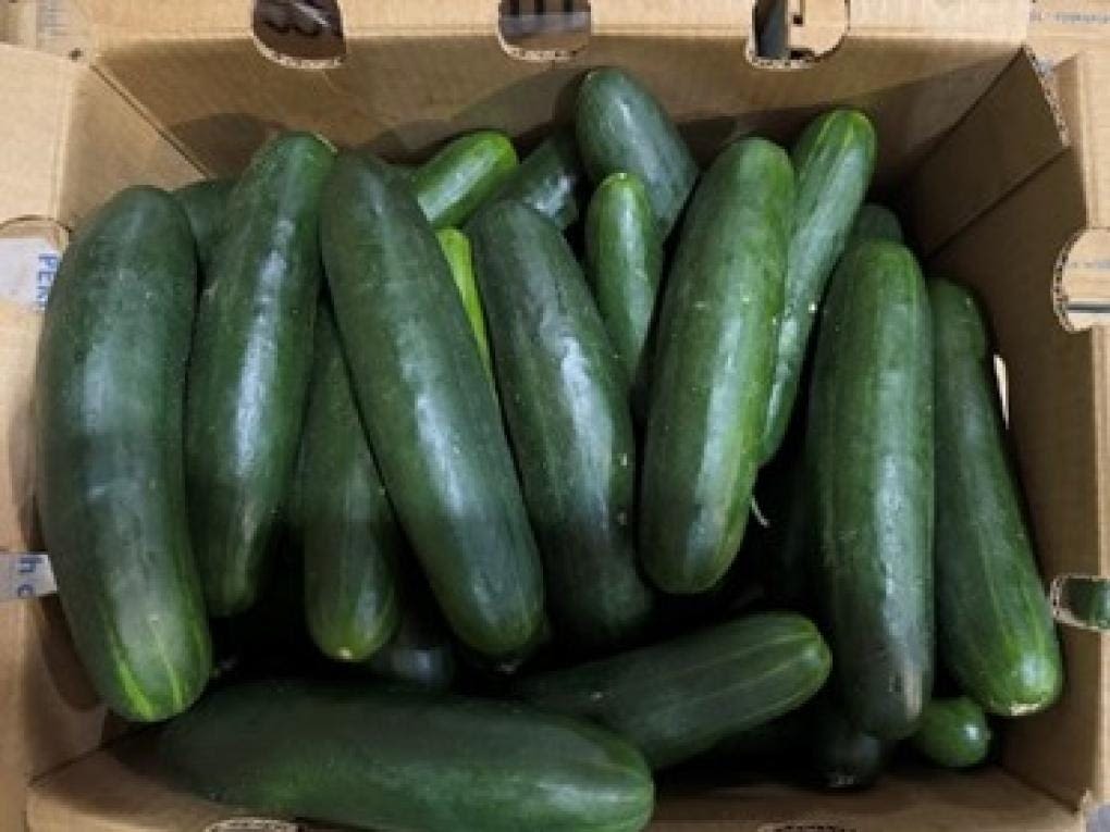 You may have tainted cucumbers in your fridge. Here's what to check for