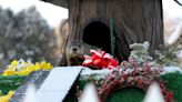 ‘Woody the Woodchuck’ makes spring prediction