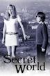 Secret World (film)