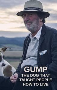 Gump: The Dog That Taught People How to Live