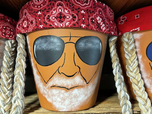 NASA retiree's Willie Nelson flowerpots all the rage in Galveston