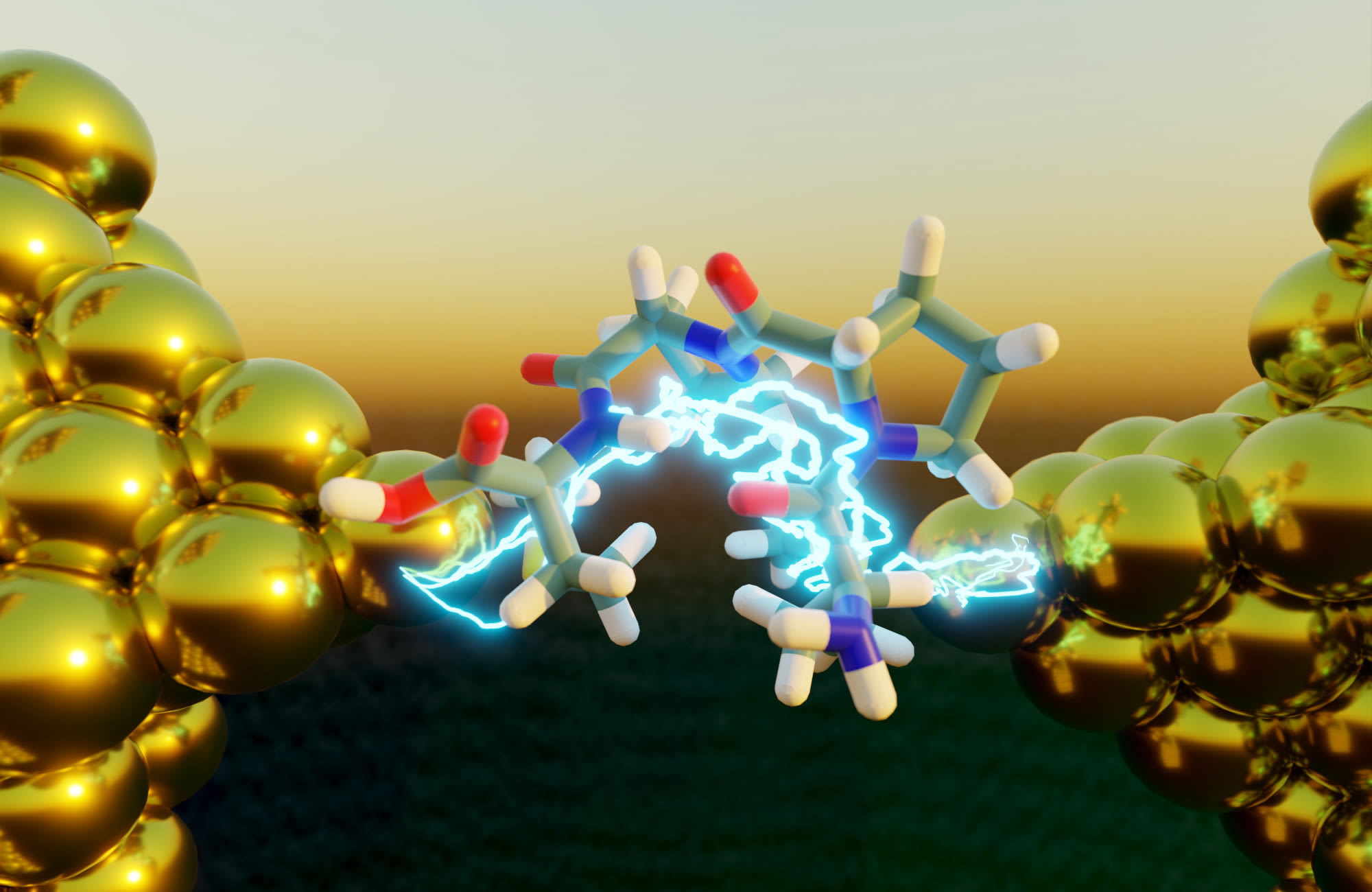New Study Unfolds the Electric Mystery of Peptides