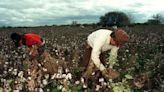 El campo apoya la Ley Bases y confía que impulsará al trabajo agropecuario