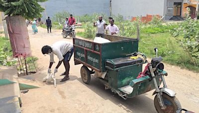 Five stray dogs, pet cat found dead in Ambur town