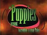 The Puppies Present Incredible Animal Tales