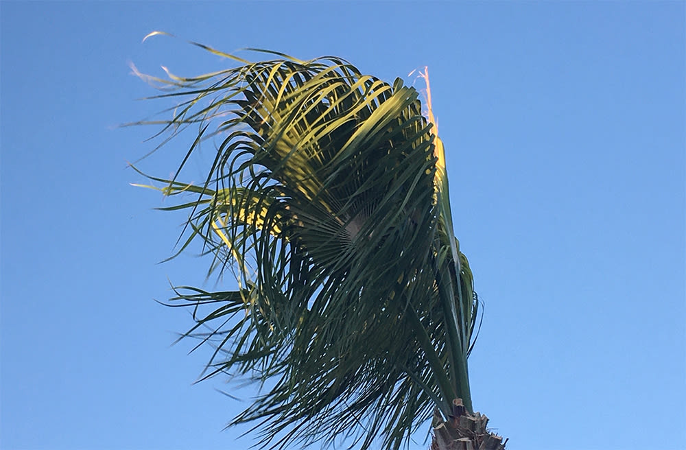 Powerful winds expected to blow into Las Vegas valley over weekend