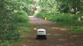 A Guy Spotted A Delivery Robot “Lost In The Woods,” But We'd Like To Think It Was Just Trying To *Find* Itself