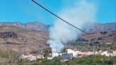 Evacuadas varias viviendas y un hotel rural por el incendio en el palmeral de Fataga, Gran Canaria