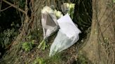 Sympathy cards and flowers to four victims left at crash site