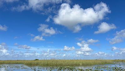 Things to do: Three of Florida's national parks and a national preserve in our 'backyard'