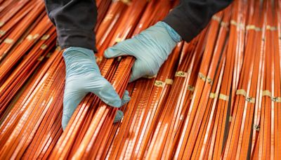 Endolith is using 'Olympic caliber' copper microbes to address the copper shortage | TechCrunch