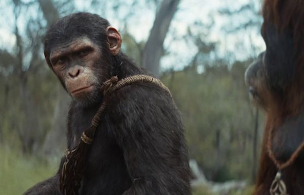 Kingdom of the Planet of the Apes: Exclusive Deleted Scene - IGN