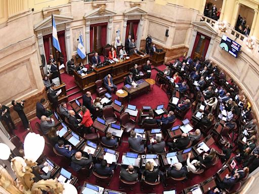 Senado: Militares con ‘bolilla negra’ de Villarruel, Loan y polémica por jubilaciones
