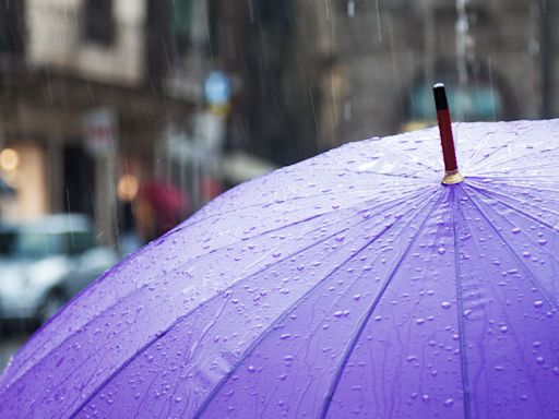 Se espera posibilidad de lluvias y algunas tormentas aisladas en el área de Nueva York