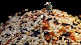 NEDA open to adjusting rice tariffs before 2028 - BusinessWorld Online