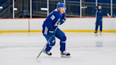 Building Blue: Lucas Forsell Added to his Toolbelt During Third SHL Season | Vancouver Canucks