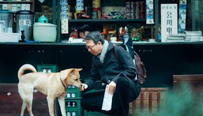 Hachiko 2: siempre a tu lado, el perro fiel regresó al cine