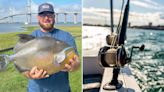 Georgia angler hooks unique-looking fish, snags state record two months after it's broken