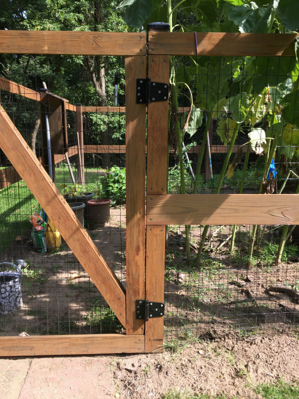 Can You Use Pressure-Treated Wood for Garden Fence Posts?