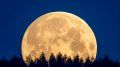 Full Flower Moon to bloom in night sky during 1st weekend of May