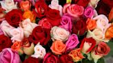 Florist surprises 800 widows with flowers on Valentine's Day