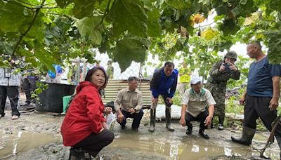 屏東農損嚴重 周春米視察 (圖)