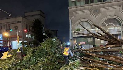 台中整夜風雨路樹災情最慘 2地下道積水封閉今搶通