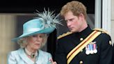 Prince Harry ‘did not want to be in the same room as the Queen’ – more fool him