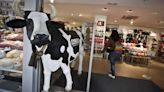 La vaca de Ale-Hop dispara sus ventas un 31% y factura 224 millones de euros