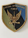 Special Operations Force