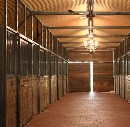 Sls Long Loop Earnetsugars Legacy Stables