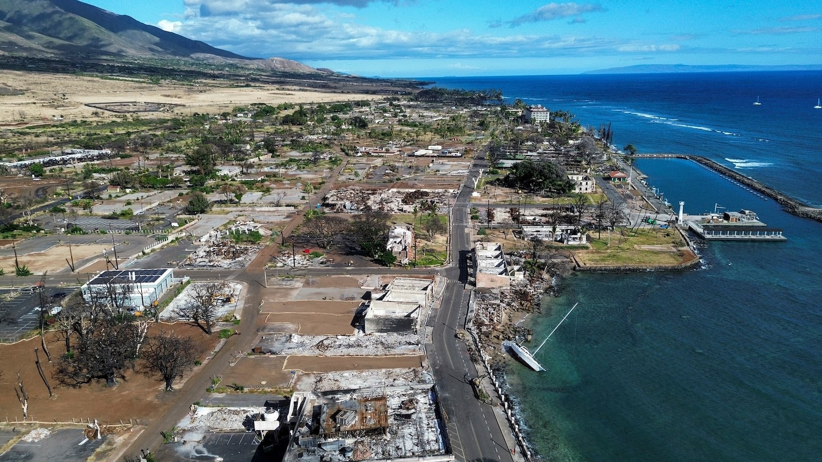 How the marine ecosystem in Maui is faring 1 year after the wildfires