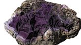 "Incredibly rare" ancient purple dye that was once worth more than gold found in U.K.