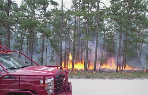 Wharton State Forest wildfire: Inside grueling conditions firefighters face in extreme heat fighting fire