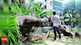 Strong winds uproot trees in Bengaluru city | Bengaluru News - Times of India