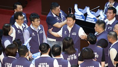 避免青鳥「濫罷」 罷樑後藍拚選罷法加嚴連署本會期三讀