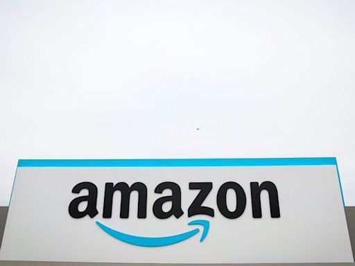 Amazon sidesteps carbon offset standard Bezos helped fund