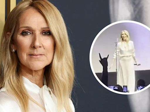 Céline Dion rompió en llanto en la presentación de su documental