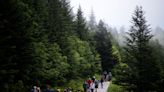 Great Smoky Mountains National Park visits were second-highest in 2023 despite parking fees