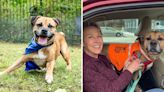 Senior shelter dog '"ignores" everyone, then 70-year-old woman meets him