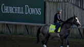 Four horse racing deaths cast tragic shadow over upcoming Kentucky Derby